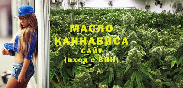 молекула духа Осинники